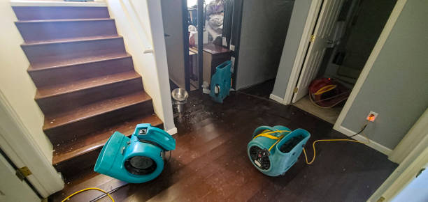 Best 24/7 water damage repair  in Gordonsville, TN