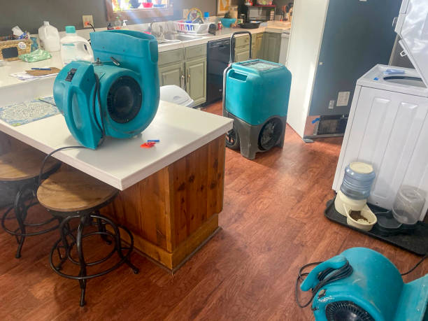 Best 24/7 water damage repair  in Gordonsville, TN
