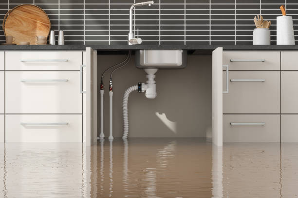 Water damage restoration mold remediation in TN